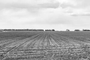 fotografie Aan thema groot leeg boerderij veld- voor biologisch oogst foto