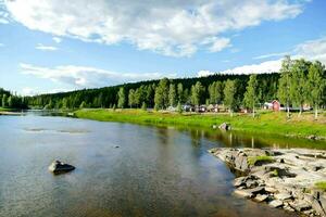 een rivier- in de midden- van een Woud met rotsen en bomen foto