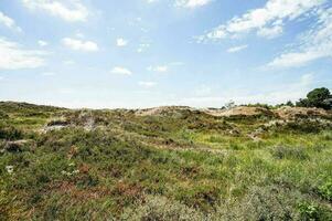 een met gras begroeid veld- met een blauw lucht en wolken foto