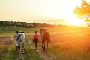twee vrouw en twee paarden buitenshuis in zomer gelukkig zonsondergang samen natuur foto