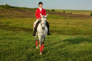 jong vrouw rijder, vervelend rood redingote en wit rijbroek, met haar paard in avond zonsondergang licht. foto