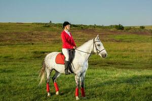 jong vrouw rijder, vervelend rood redingote en wit rijbroek, met haar paard in avond zonsondergang licht. foto