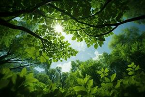 ai gegenereerd luifel visie staren naar boven Bij de weelderig groen tops van bomen foto