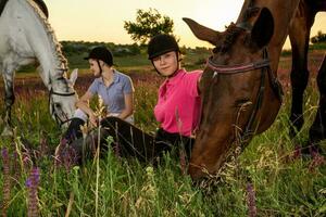 vriendelijk Dames zijn zittend De volgende naar een bruin en wit paarden, welke begraasd in de weide. foto