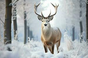 ai gegenereerd rustig winter tafereel een hert in een sneeuw gedekt veld- foto