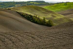 geoogst velden en weiden landschap in Toscane, Italië. golvend land landschap Bij herfst zonsondergang. akkerbouw land- klaar voor de agrarisch seizoen. foto