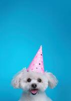 ai gegenereerd wit hond in roze partij hoed Aan blauw achtergrond foto