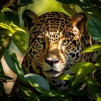 ai gegenereerd een mooi en ongrijpbaar jaguar collega's uit van achter een boom foto