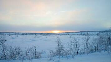 ai gegenereerd winter zonsopkomst kalmte ongerept sneeuwlandschap foto