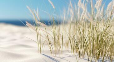 ai gegenereerd dichtbij omhoog van een strand in de buurt sommige gras en zand foto