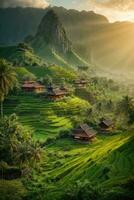 ai gegenereerd majestueus zonsopkomst over- terrasvormig rijst- velden genesteld tussen weelderig groen heuvels gegenereerd door ai foto