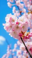 ai gegenereerd een detailopname van een mooi bloeiende kers boom, met delicaat roze bloemblaadjes tegen een blauw lucht foto