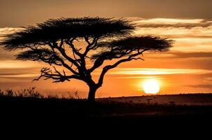 ai gegenereerd een zwart en wit zonsondergang tafereel met de silhouet van een acacia boom foto
