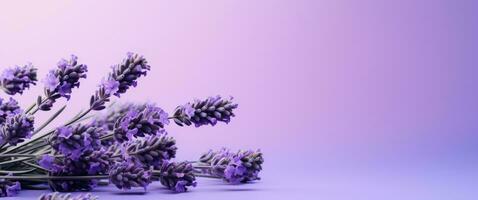 ai gegenereerd bloemen Aan lavendel achtergrond, foto