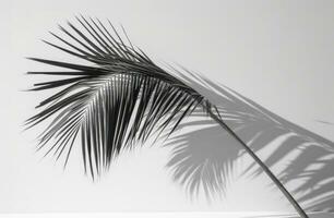 ai gegenereerd deze is een afbeelding van een palm boom, foto