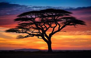 ai gegenereerd een silhouet acacia boom tegen de lucht foto