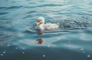 ai gegenereerd een wit eend drijvend Aan de water foto