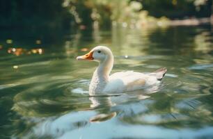 ai gegenereerd een wit eend drijvend Aan de water foto