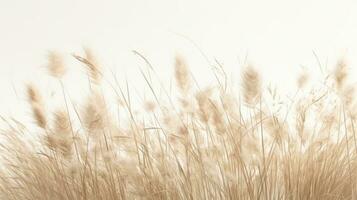 ai gegenereerd droog gras en bladeren in de buurt een beige muur foto