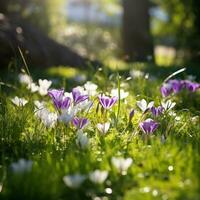 ai gegenereerd wilde bloemen Aan gras in voorjaar zonneschijn, foto