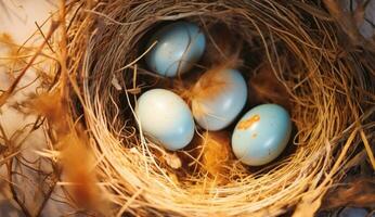 ai gegenereerd Daar is blauw, geel en oranje eieren in een nest foto