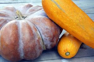 enorme rijpe pompoen en courgette close-up. oogst. foto