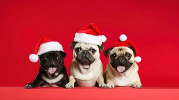 ai gegenereerd honden in santas hoed Aan levendig achtergrond foto