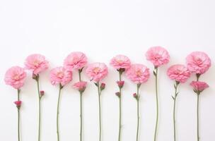 ai gegenereerd roze bloemen geregeld in een rij Aan een wit achtergrond, foto