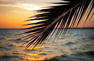 ai gegenereerd palm blad Aan zon reeks over- oceaan foto