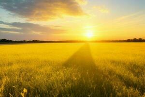 ai gegenereerd gouden uur zonsondergang Aan de veld. pro foto