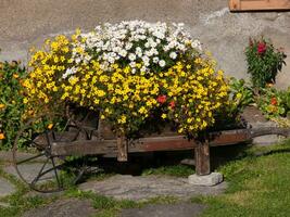 een houten kar met bloemen foto