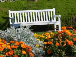 een wit bank in een bloem tuin foto