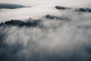 hoge hoekmening van het bos en de mist in de ochtend foto