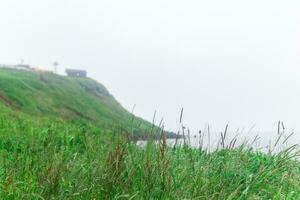 wazig kust landschap, focus Aan in de buurt gras foto