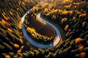 ai gegenereerd antenne visie van berg weg in Woud Bij zonsondergang in herfst. top visie van dar van weg in bossen. mooi landschap met rijweg in heuvels, pijnboom bomen, groen weiden foto