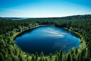 ai gegenereerd een bijna perfect circulaire meer schot Rechtdoor naar beneden van de lucht lijkt op de aarde omringd door een pijnboom Woud foto