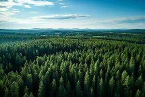 ai gegenereerd antenne visie van donker groen Woud met nevelig wolken. de rijk natuurlijk ecosysteem van regenwoud concept van natuurlijk Woud behoud en herbebossing. foto