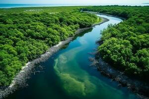 ai gegenereerd dar antenne vogelstand oog visie van een groot groen gras Woud met hoog bomen en een groot blauw buigzaam rivier- vloeiende door de Woud foto