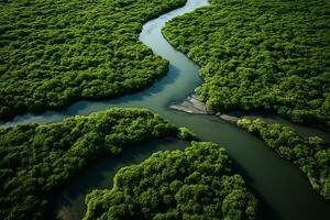 ai gegenereerd dar antenne vogelstand oog visie van een groot groen gras Woud met hoog bomen en een groot blauw buigzaam rivier- vloeiende door de Woud foto