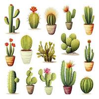 ai gegenereerd de cactus reeks Aan wit achtergrond. clip art illustraties. ai gegenereerd foto