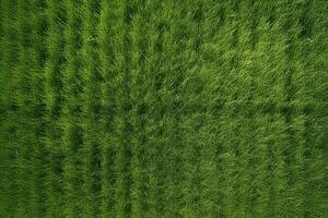 ai gegenereerd loodrecht antenne visie van groen gras veld- foto