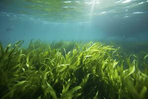 ai gegenereerd onderwater- visie van een groep van zeebedding met groen zeegras. ai gegenereerd foto