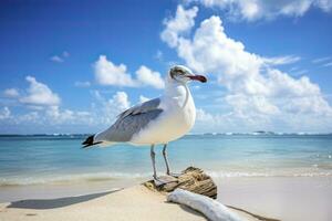 ai gegenereerd zeemeeuw Aan de strand onder blauw lucht. foto