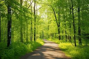 ai gegenereerd een aarde weg in de midden- van een Woud met veel van hoog bomen Aan beide zijden van de aarde pad. generatief ai foto