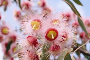 ai gegenereerd mooi gom boom roze bloemen en knoppen. ai gegenereerd foto