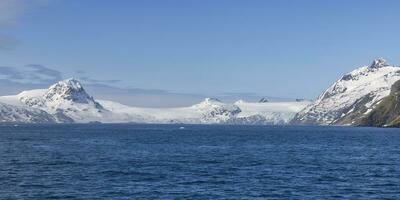 koning haakon baai, sneeuw gedekt bergen en gletsjers, zuiden Georgië, zuiden Georgië en de belegd broodje eilanden, antarctica foto