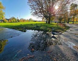 duiven in speels humeur door een vijver in een park in Londen, Engeland foto