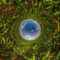 blauw gat gebied weinig planeet binnen groen gras ronde kader achtergrond foto