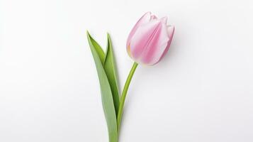 ai gegenereerd roze tulp bloemen Aan wit achtergrond foto
