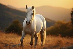 ai gegenereerd wit paard of merrie in de bergen Bij zonsondergang. ai gegenereerd foto